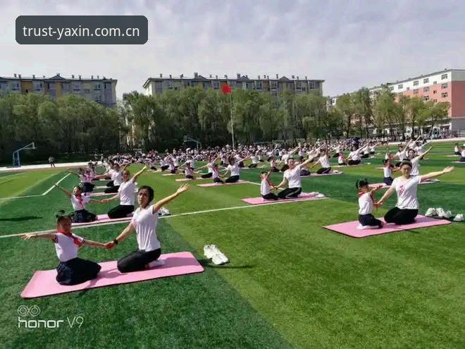 揭秘亚新体育透明度背后的真相：一个资深用户的心得分享