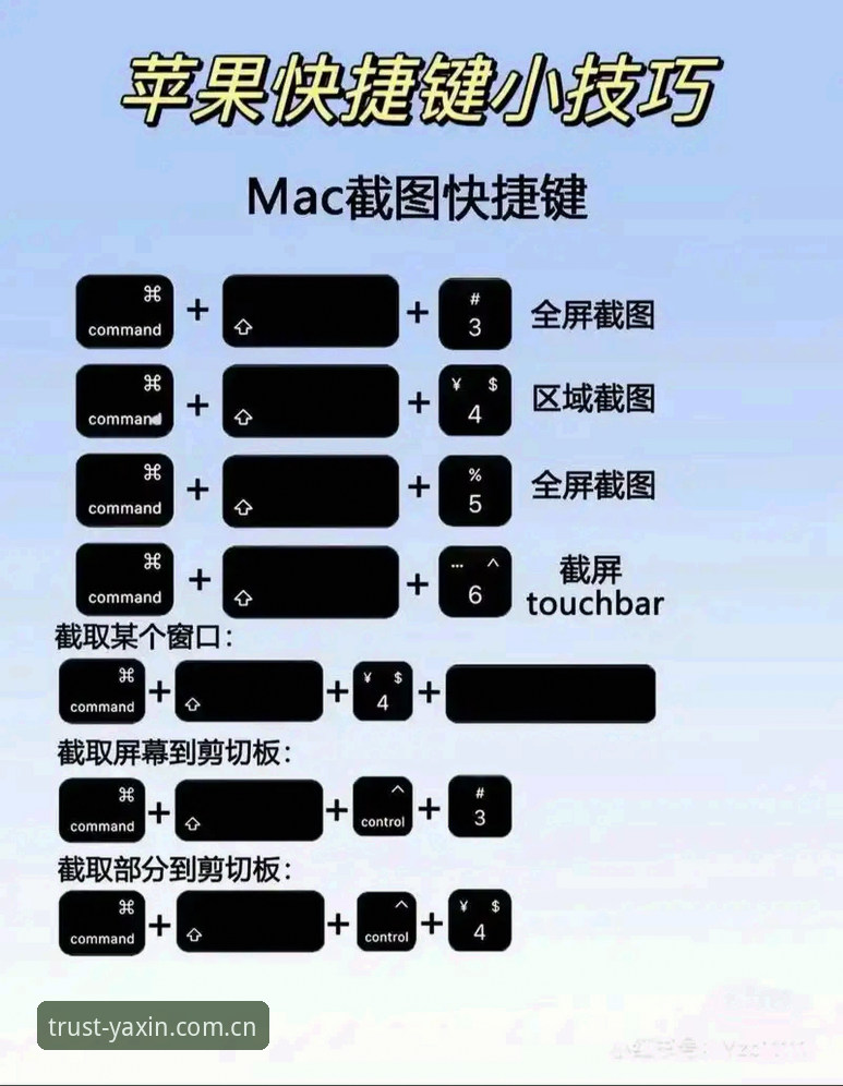 亚新YX平台教程 亚新YX平台教程详解:从入门到精通的操作指南